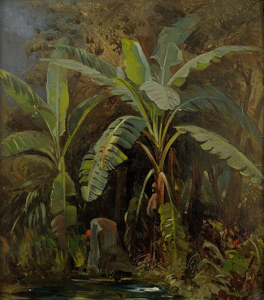 Julie Wilhelmine Hagen - Schwarz, Piante italiane, Tartu Art Museum's painting collection 1